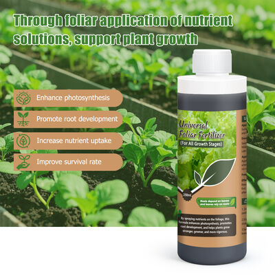 250 ml Υψηλής ακρίβειας Παγκόσμιο φυλλώδες λιπάσμα για την ενίσχυση της ανάπτυξης των φυτών και την παγκόσμια δοκιμή