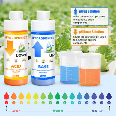 Κιτ ρύθμισης pH υδροπονίας χωρητικότητας 250ml για βέλτιστη απορρόφηση θρεπτικών συστατικών από τα φυτά και σταθερό τύπο
