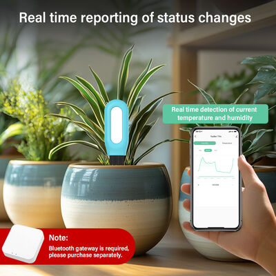 Ασύρματος ZigBee έξυπνος ανιχνευτής θερμοκρασίας υγρασίας εδάφους για φυτά App ελεγχόμενο
